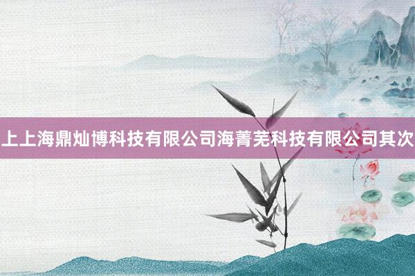 上上海鼎灿博科技有限公司海菁芜科技有限公司其次